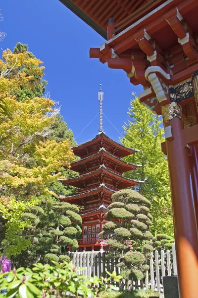 Pagoda in Japanese garden