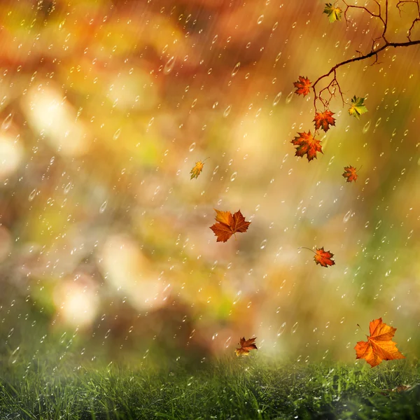 Sweet autumn rain on the meadow, abstract natural backgrounds