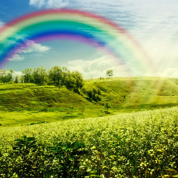 Rainbow on the meadow.