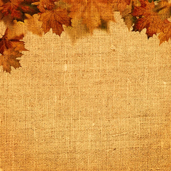 Autumnal abstract still life over hessian background