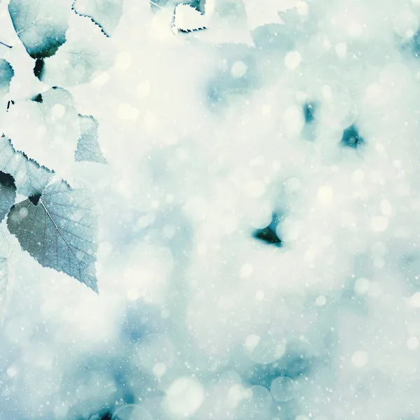 Frozen summer. Natural winter backgrounds with beauty bokeh