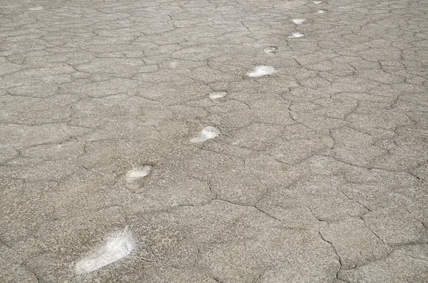 Footprints in salt