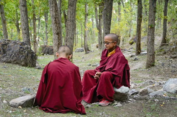 Young tibetan Monks