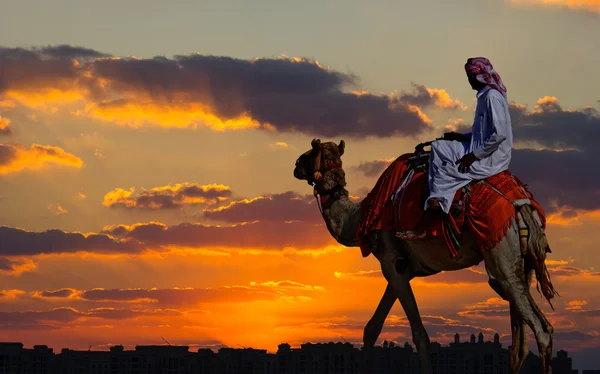 Bedouin on a camel in the desert and a modern city on the horizo