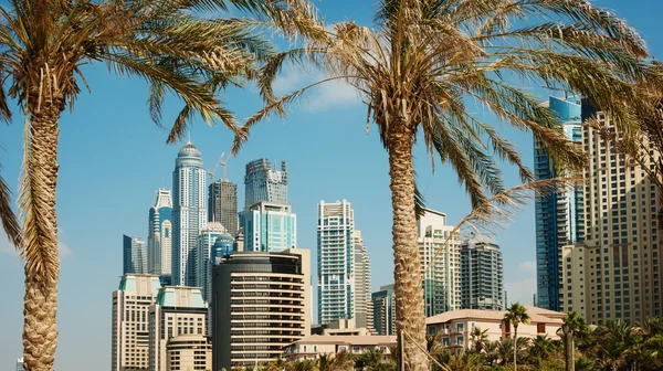 High rise buildings and palm trees in Dubai, UAE
