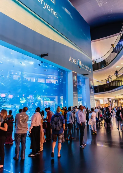 View of Dubai Aquarium inside Dubai Mall