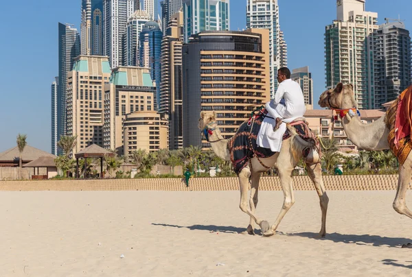 A man riding a camel on the beach