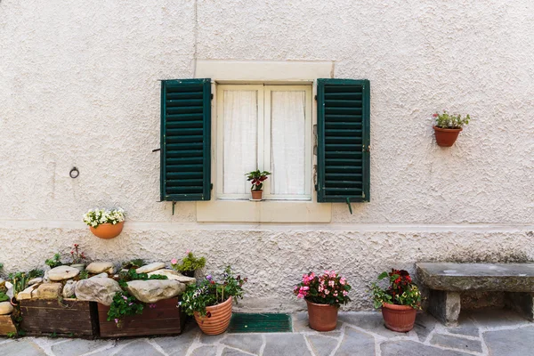 Window with flower pots and flowers