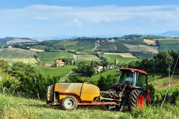 Fields full of vines and tractor in Tuscany