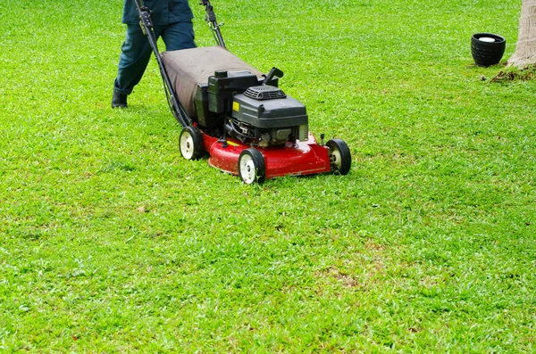 Mowing the lawn