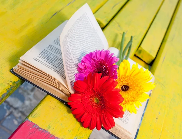 Old book and flowers on bench nobody