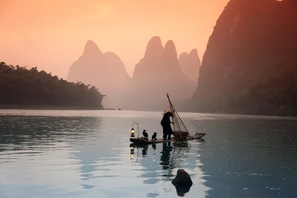 Chinese man fishing with cormorants birds, Yangshuo, Guangxi reg