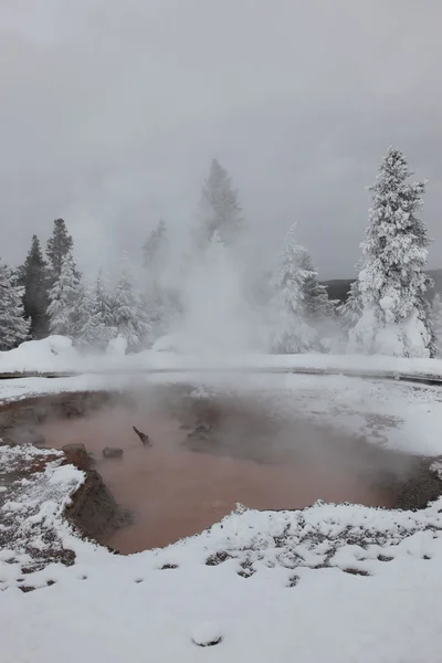Hot spring inside the caldera. Yellowstone National Park