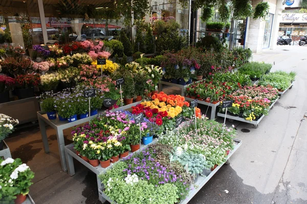Colorful flower stand on a sidewalk in Paris