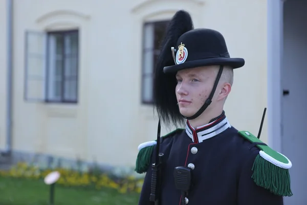 Royal Guard  in Oslo, Norway