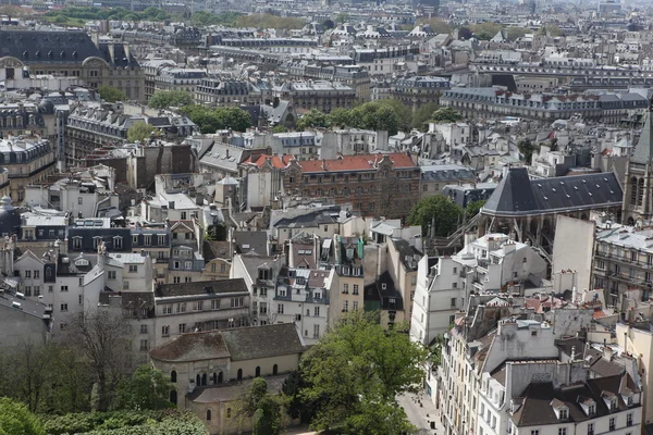 View from top of Notre Dame Cathedral