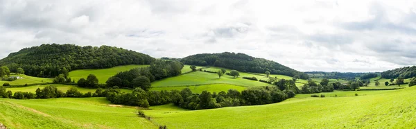 Panorama of welsh countryside