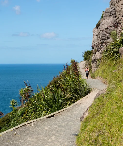Woman hike The Mount at Tauranga in NZ