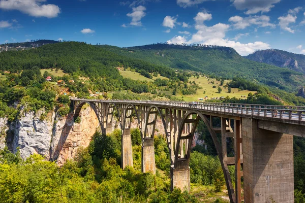 Old big bridge in Durdevica