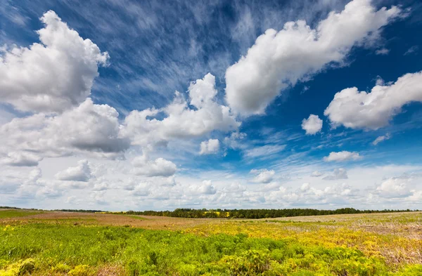 Field with fluffy clouds