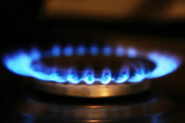 Blue flames ring of kitchen burner isolated on black background.