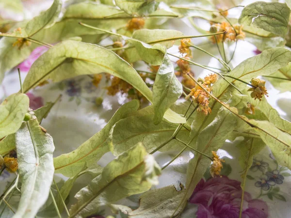 Linden flower tea