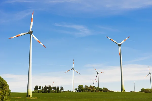 Ecology energy farm with wind turbine