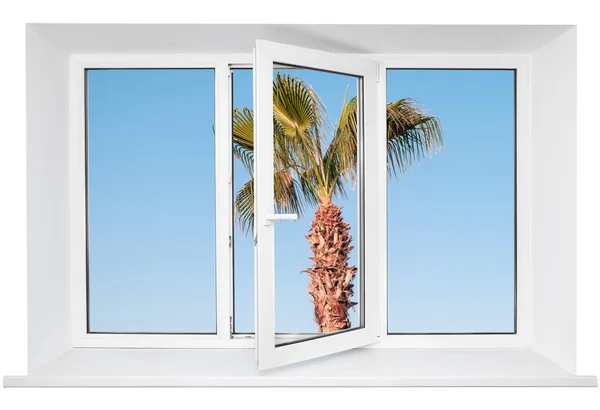 Plastic triple window with palm tree on blue sky through glass