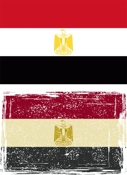 Egyptian grunge flag. Vector