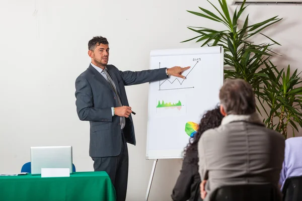 Young Businessman Explaining Plans and Charts