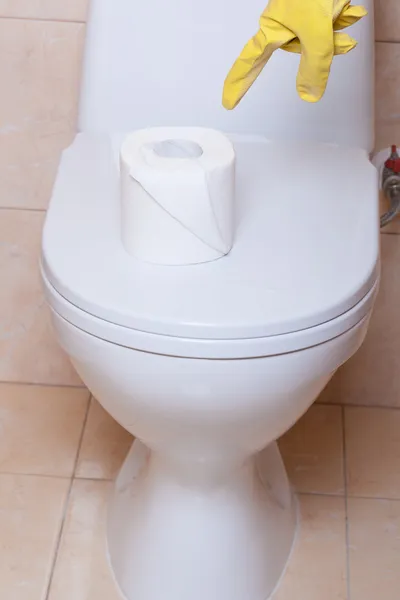 Toilet hygiene concept