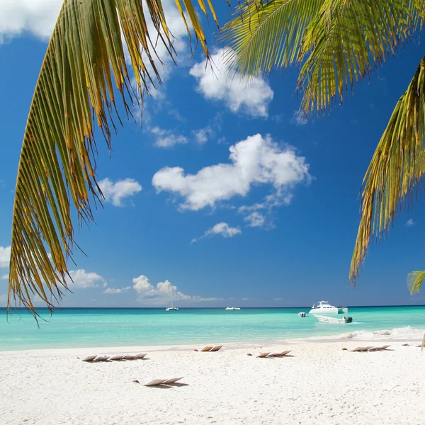 Calm beach on caribbean sea