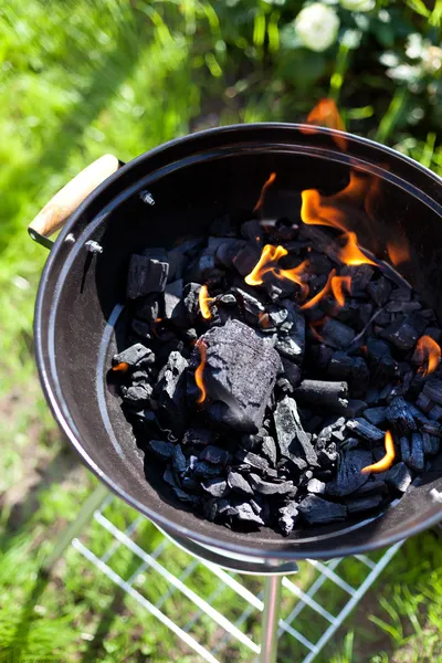 Barbecue charcoal in fire, preparing for grilling