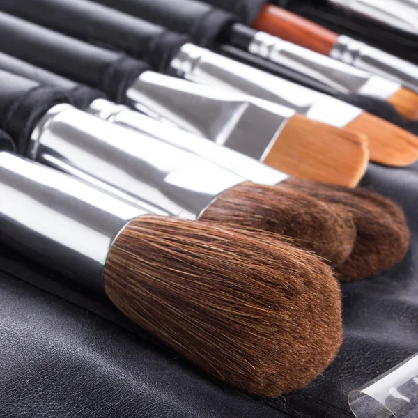 Professional makeup brushes in compact case
