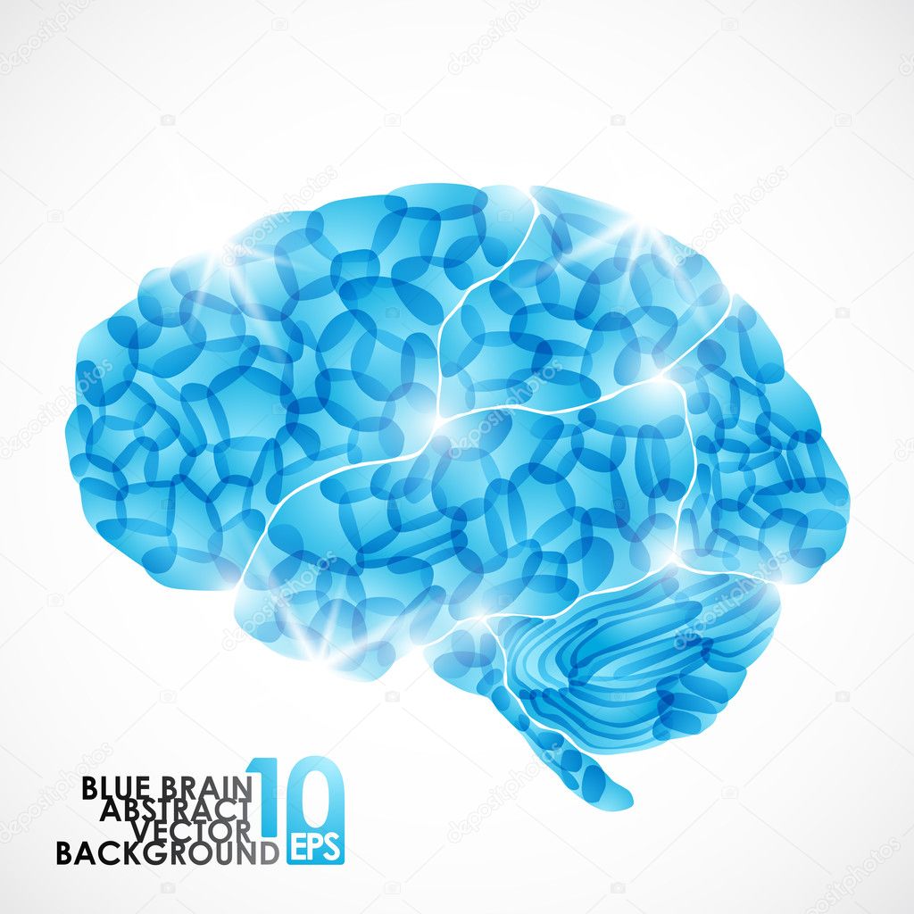 Human brain, cold mind — Stock Vector © sergio77 34012789