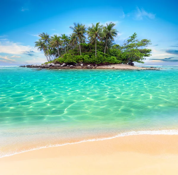 Tropical island and sand beach exotic travel background landscap