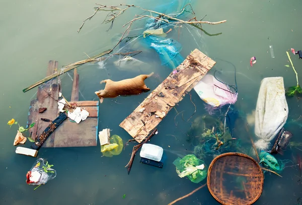 Water pollution with plastic garbage