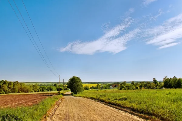 Country landscape.