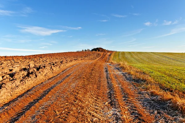 Country landscape.