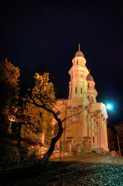 Greek Catholic Cathedral in Uzhhorod City — Stock Photo #19904463