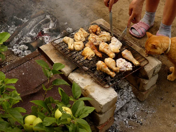 Preparing chicken on grill