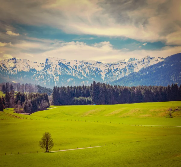German idyllic pastoral countryside in spring with Alps