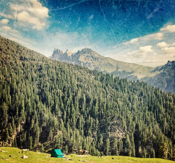 Camp tent in mountain