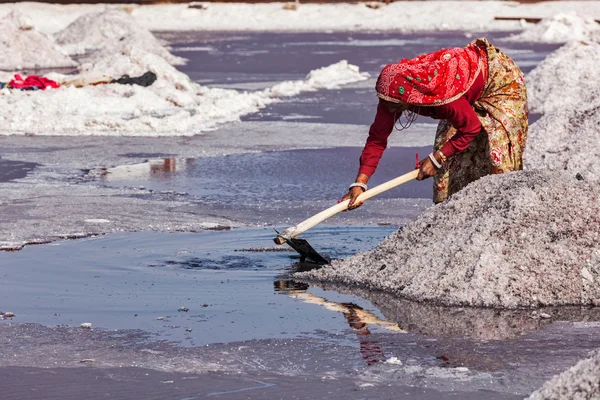 Women mining salt at lake Sambhar, Rajasthan, India