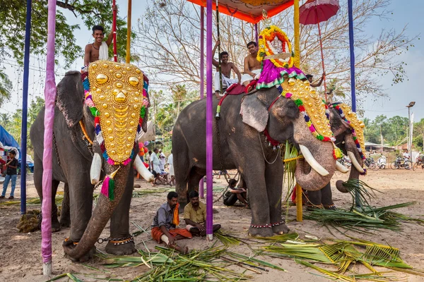 Decorated elephants with brahmins