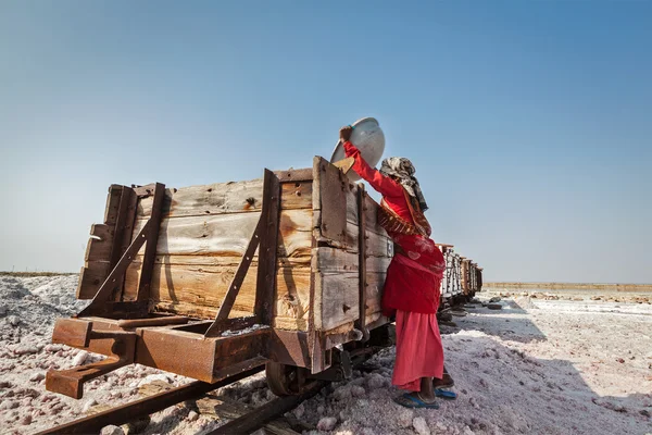 Woman mining salt at lake Sambhar, Rajasthan, India