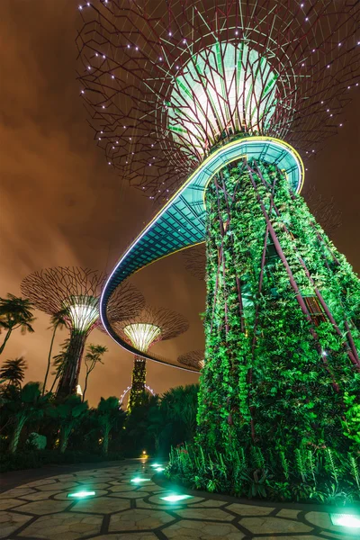 Garden by the Bay futuristic part night view, Singapore