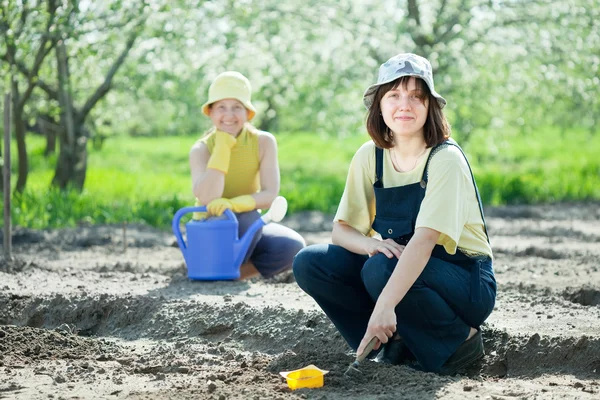 Women sows seeds in soil