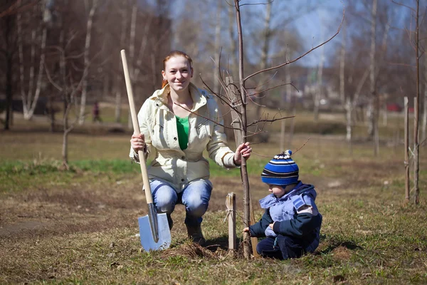 Mother and son planting tree