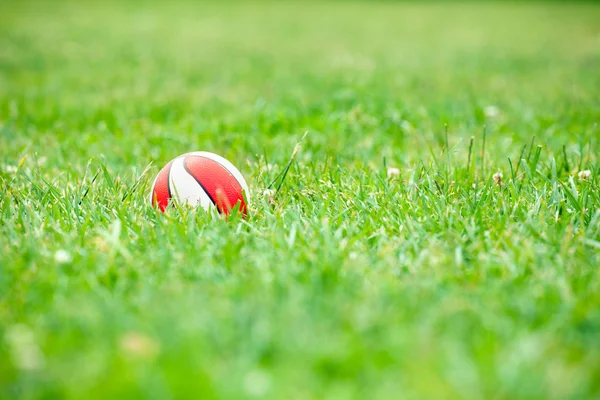 Toy ball in green grass